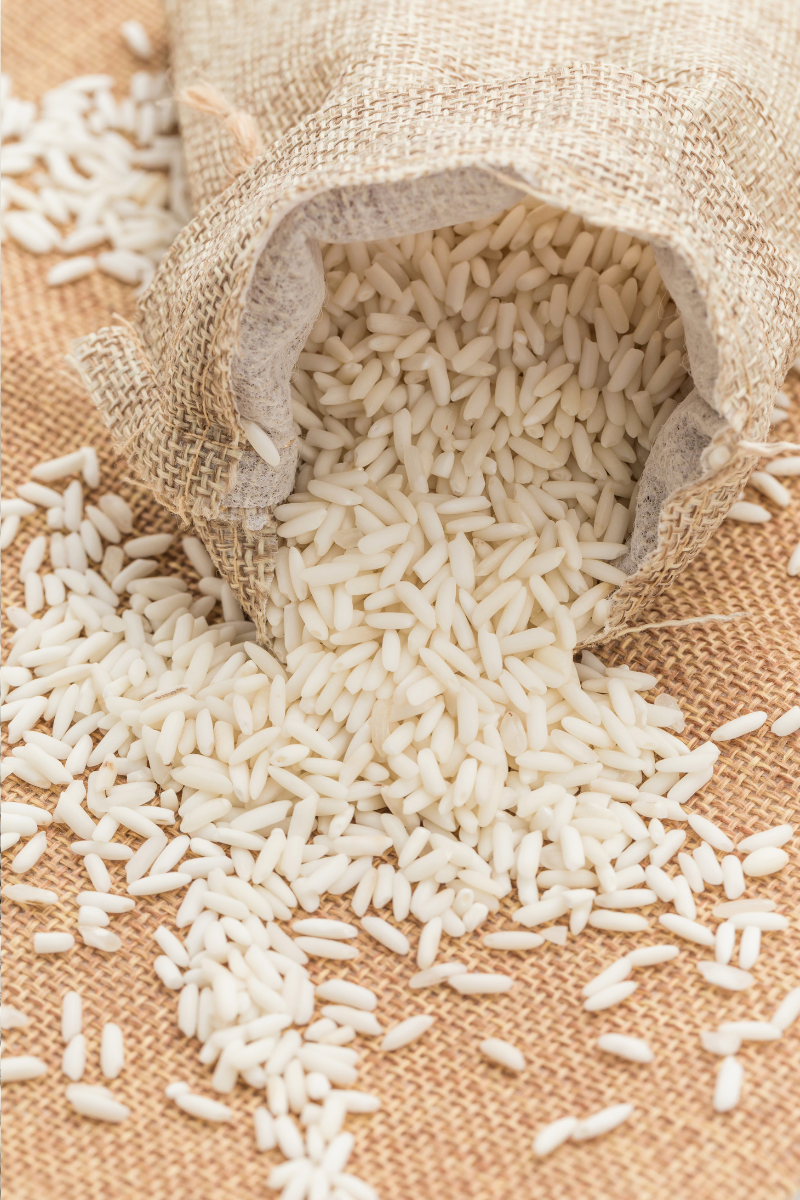 Qu'est ce que la protéine de riz ?